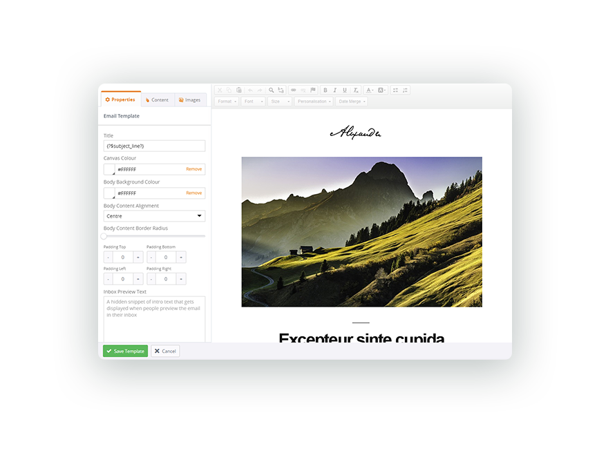 Screenshot of mailing manager email marketing template on desktop