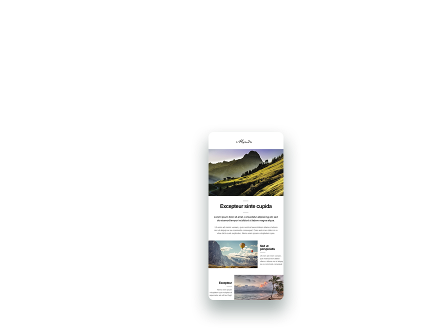 Screenshot of mailing manager email marketing template