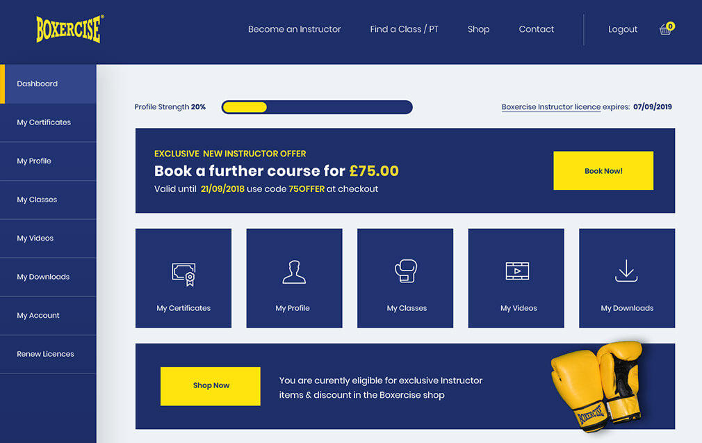 boxercise dashboard design